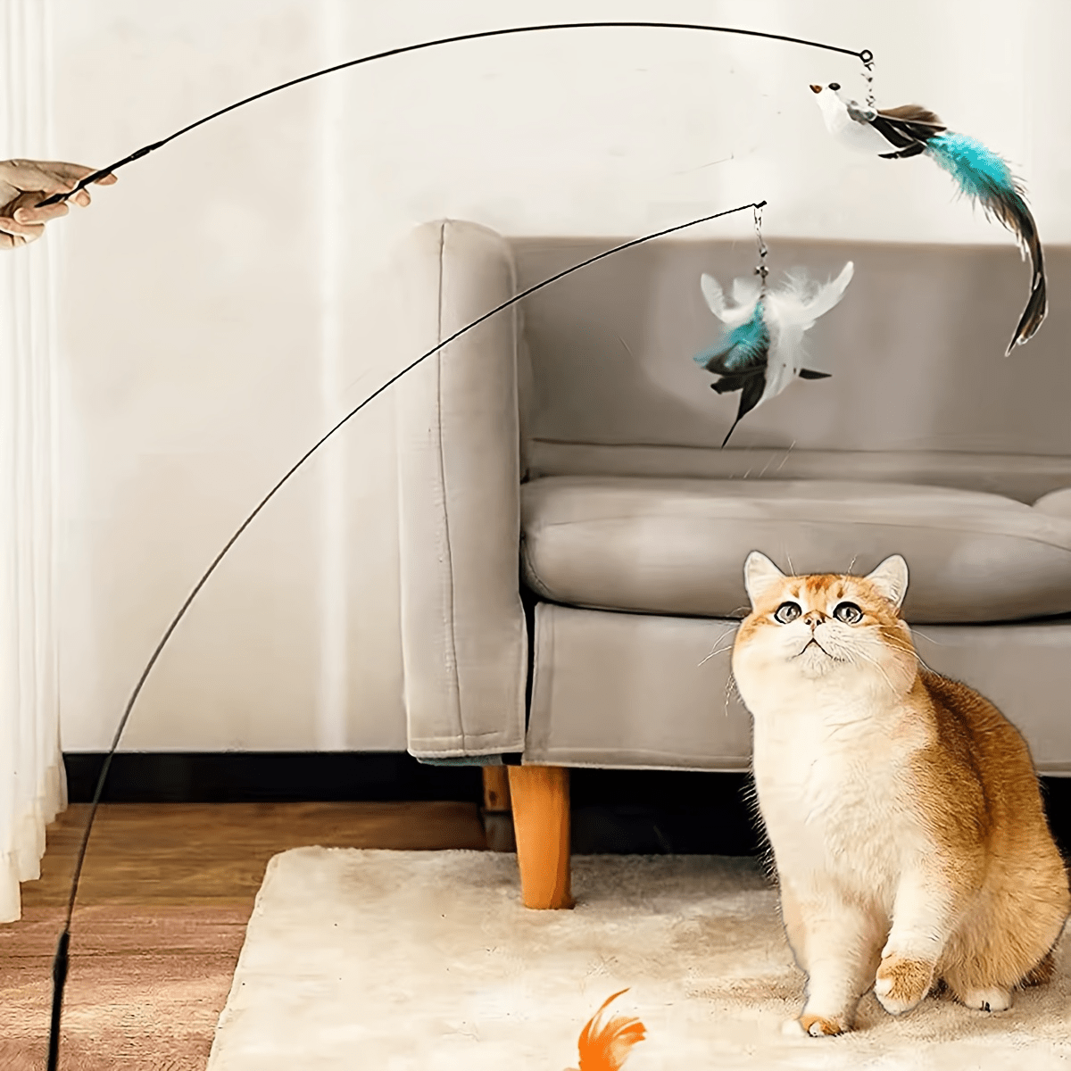 Cat-attracting Bird Form Cat Teaser Stick Replacement Head 5pcs Kit Elegant Style, or 3pcs Kit, (bite-resistant, No Padding) Extra 1free Wand. Interactive Cat Wand Toys, Indoor Cat Supplies, Relieve Cat Boredom, Train Hunting Instincts
