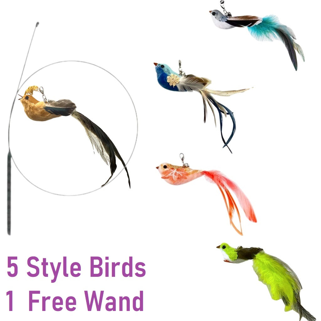 Cat-attracting Bird Form Cat Teaser Stick Replacement Head 5pcs Kit Elegant Style, or 3pcs Kit, (bite-resistant, No Padding) Extra 1free Wand. Interactive Cat Wand Toys, Indoor Cat Supplies, Relieve Cat Boredom, Train Hunting Instincts