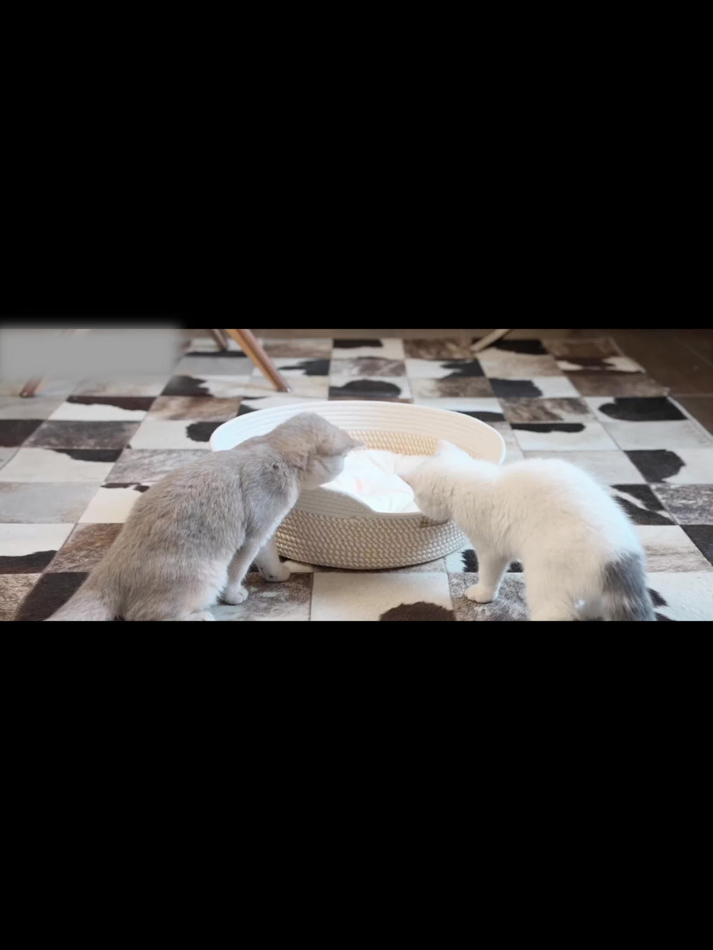 1pc White Rope-Woven Round Cat Nest with Comfortable Cushion, Soft And Breathable, Universal for All Seasons, Indoor Kitten Small Dog Pet Sleeping Bed