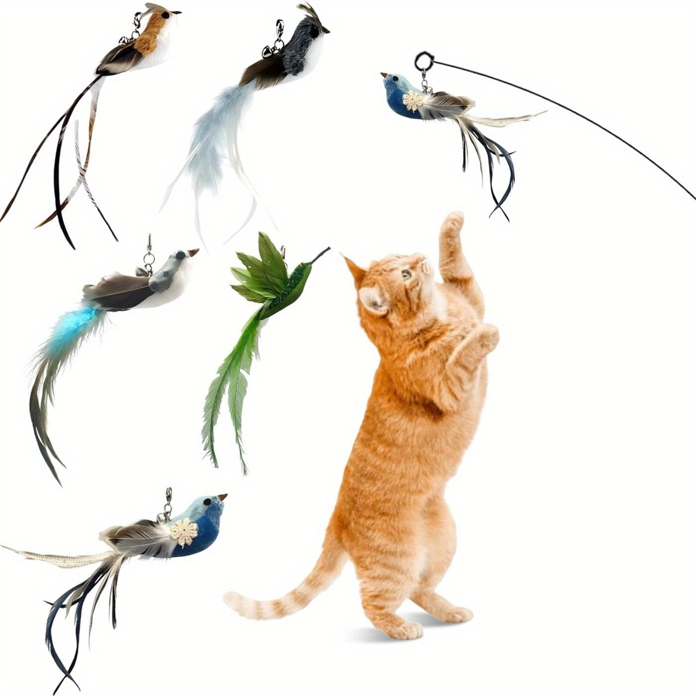 Cat-attracting Bird Form Cat Teaser Stick Replacement Head 5pcs Kit Elegant Style, or 3pcs Kit, (bite-resistant, No Padding) Extra 1free Wand. Interactive Cat Wand Toys, Indoor Cat Supplies, Relieve Cat Boredom, Train Hunting Instincts
