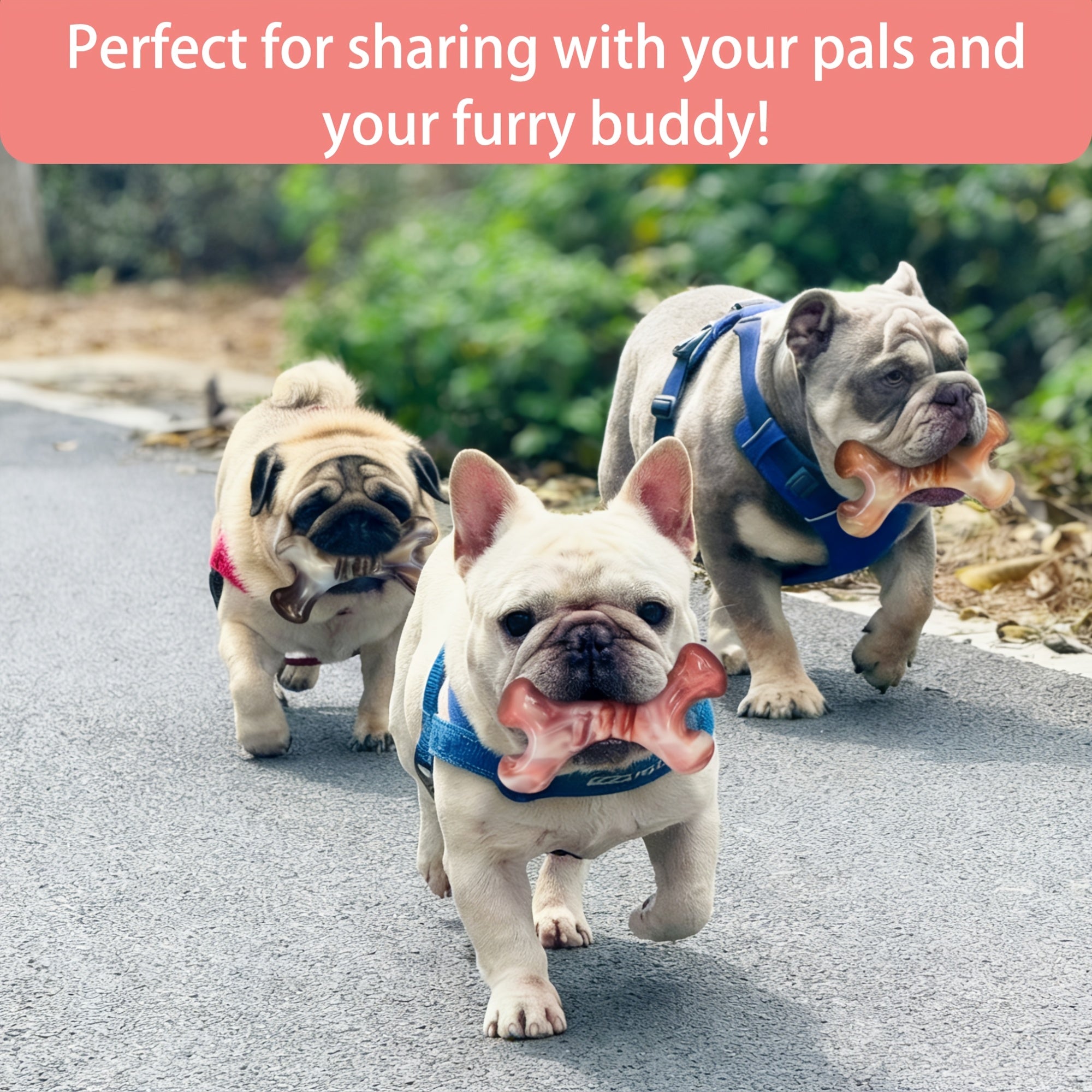 3pcak Bone Dog Toy, Indestructible Dog Toy for Small Medium Large Breed- Tough Nylon Teething Bone Toy to Keep Them Busy