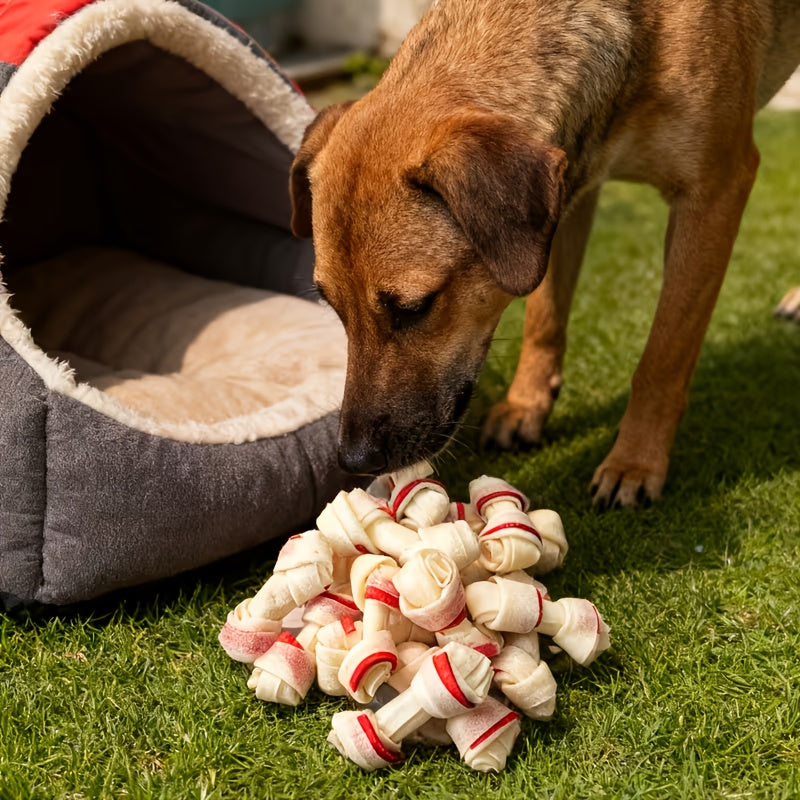 3pcs Dog Chew Toys- Suitable for Small Dogs Such as Schnauzer\u002FTeddy\u002FPomeranian, Good Chew Toys for Dog Teeth Cleaning\u002Ftraining, Dogs Love Chewing on These Toys, Durable and Resistant to Biting
