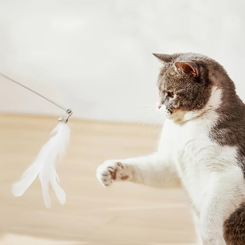 A Playful Cat Accessory Featuring Feathers, Designed with Both Artificial And Realistic Options, a Sturdy Long Stick with a Durable Wire, And a Suction Cup Base. It Operates Without Batteries And Is Perfect for Entertaining Small Dogs And Providing